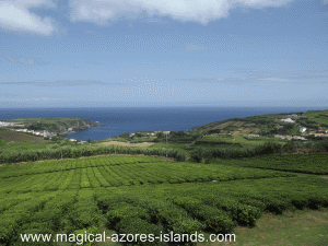 Porto Formosa, Sao Miguel, Azores