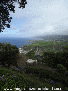 Santa Iria Azores 