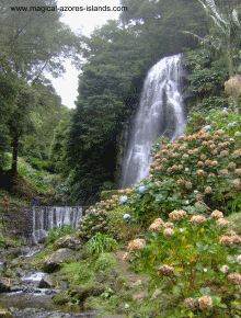 Achadina in Sao Miguel Azores 