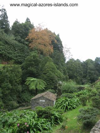 Achadina Park in Sao Miguel Azores