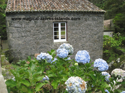 Achadina in Sao Miguel Azores