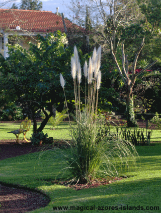 Azores-Quinta-Grounds