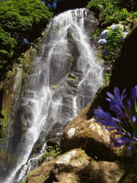 Sao Miguel Waterfall