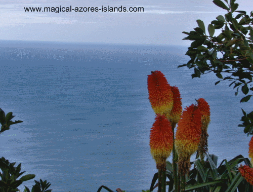 At Miradouro da Ponta do Sossega in the Azores Islands