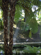 Staircase in Terra Nostra Park