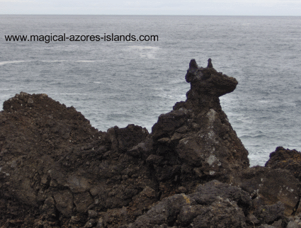 Cachorro Pico Azores