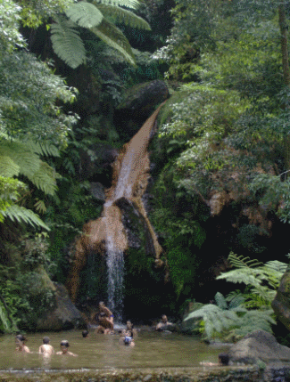 Caldeira Velha Sao Miguel