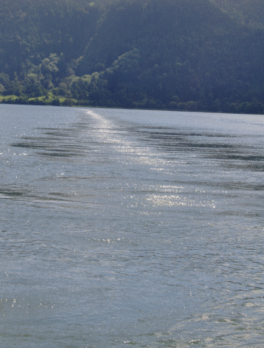 Bubbles on Furnas Lake, Sao Miguel