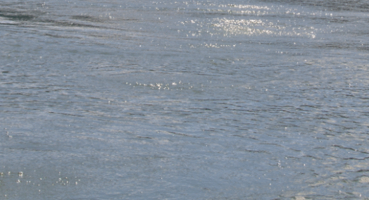 Bubbles on Furnas Lake, Sao Miguel