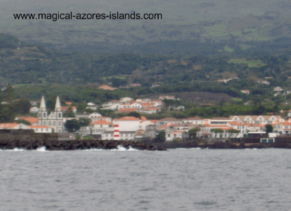 Madalena Pico Azores