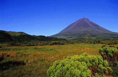 Pico Azores Pictures