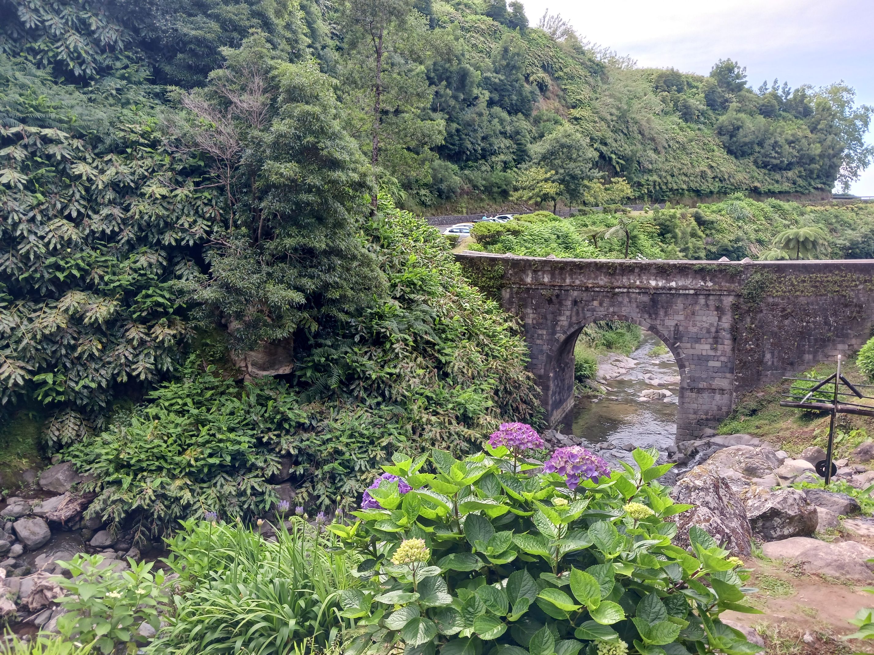 Regional road in Sao Miguel Azores