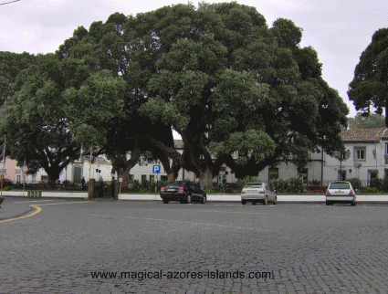  Ribeira Grande square