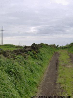 Sao Miguel Road to Great Grandfathers