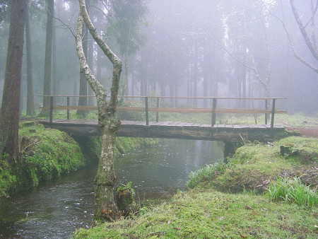 Bridge in Terceira Azores