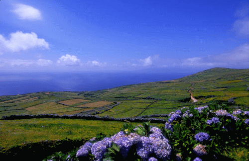 The landscape of Corvo Island, in the Azores 