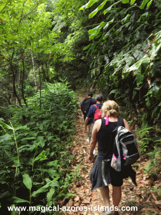 Hiking in Azores