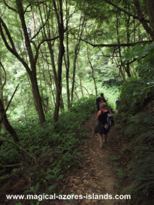 Azores Hiking