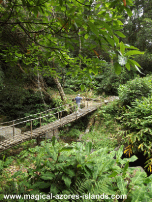 Azores Hiking