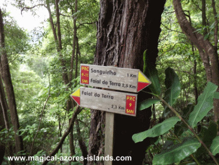 Azores Hiking