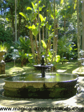 Fountain in Terra Nostra Park