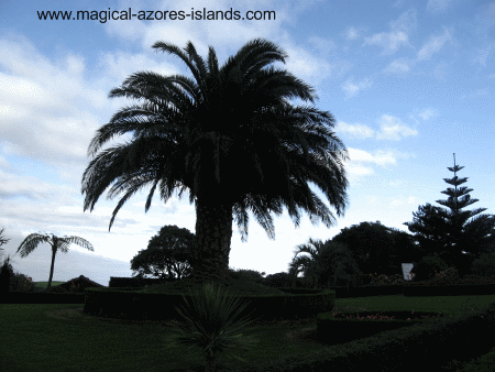 At Miradouro da Ponta do Sossega in the Azores Islands