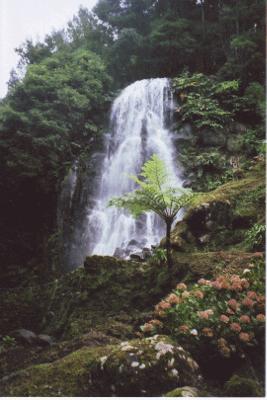Waterfall in Sao Miguel