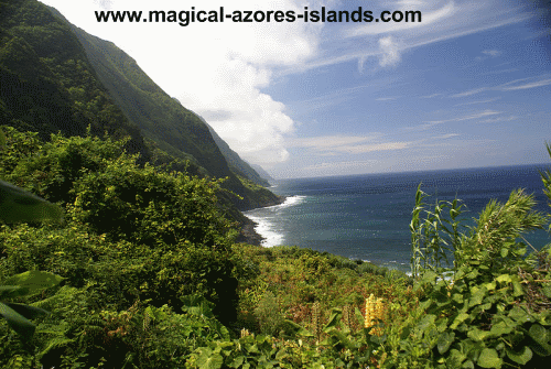 Faja de Vasco Martins, Azores Sao Jorge