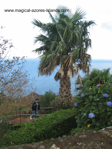 At Miradouro da Ponta do Sossega in the Azores Islands