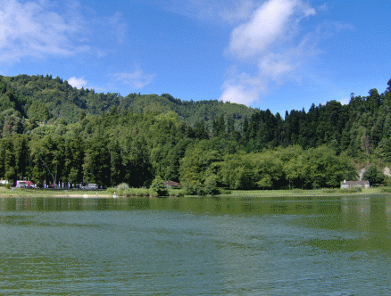 on Furnas Lake, Sao Miguel