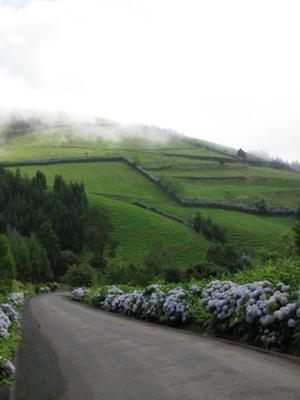 Down the road from Cha de Macela