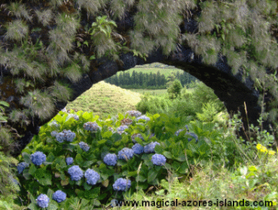 Up close at the aqueduct in Sao Miguel Azores