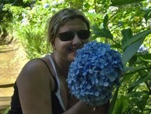 A hydrangea at Terra Nostra park, Furnas