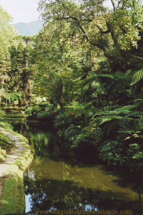 Terra Nostra Park, Sao Miguel Azores