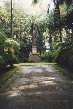 Terra Nostra Park, Sao Miguel Azores