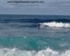 praia de santa barbara azores surfing