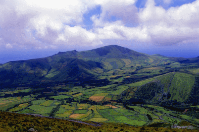 Azores Photos view of Farmers Fields in Flores Azores