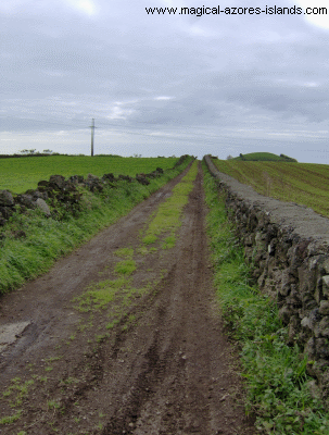 Azores Road to Great Grandfathers Farm