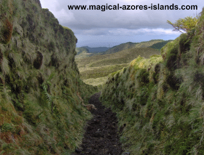 Trail in Azores