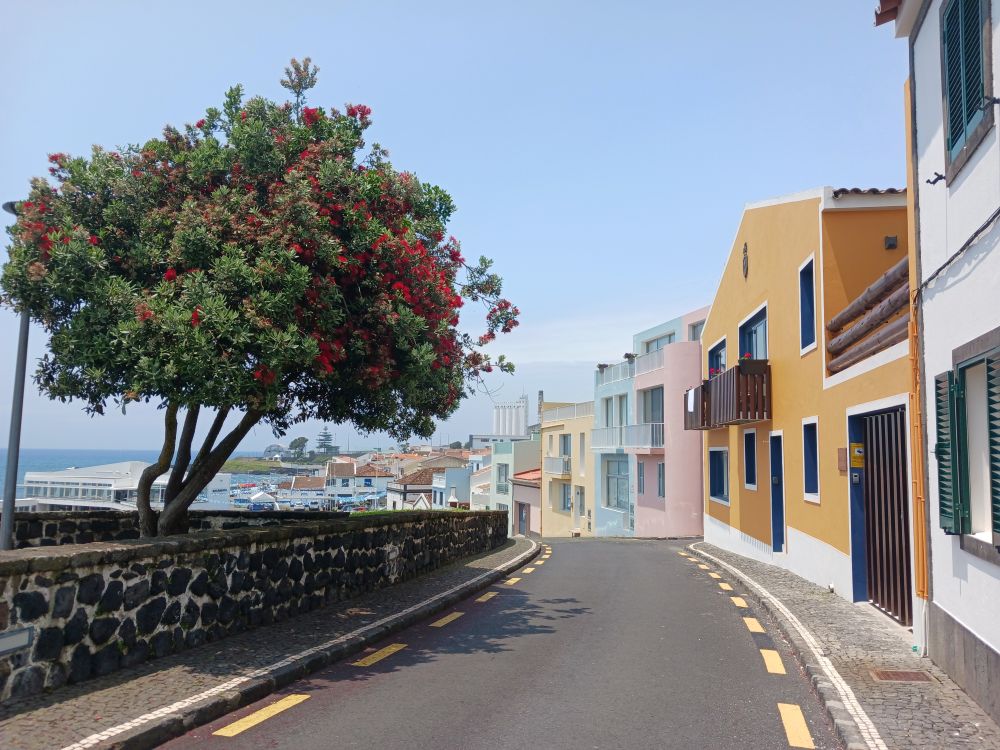 Azores Driving