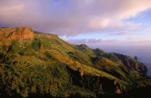 Flores Island Azores