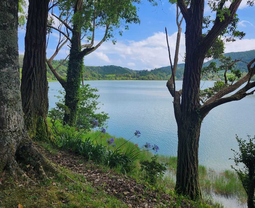 Furnas Lake