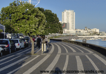 Ponta Delgada Azores Avenue