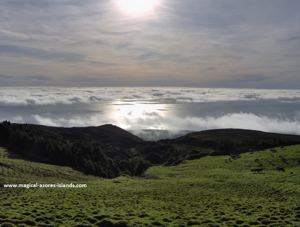 Above the clouds near Lagoa do Fogo Azores