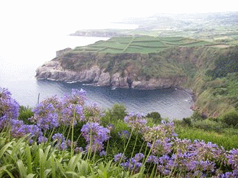 Sao Miguel Coastal View