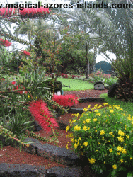 Azores hotels. Quinta das Acacias