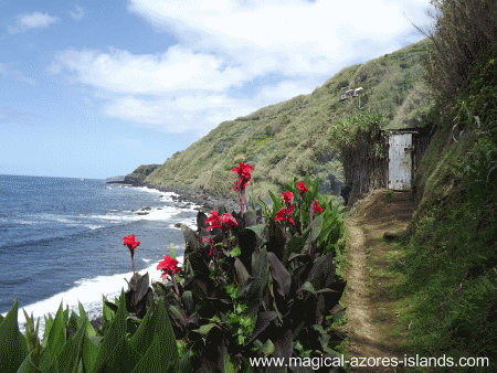 Maia, Sao Miguel, Azores