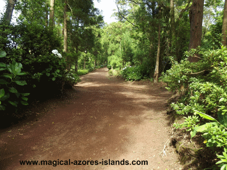 Pinhal da Paz Path Pinhal da Paz Path