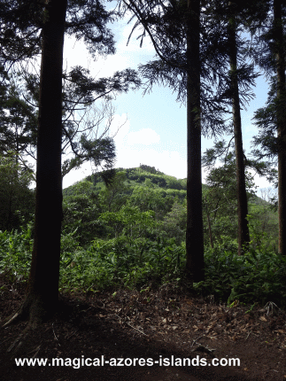 Pinhal da Paz view Pinhal da Paz view