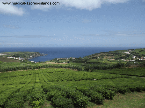 Cha Porto Formoso in Sao Miguel